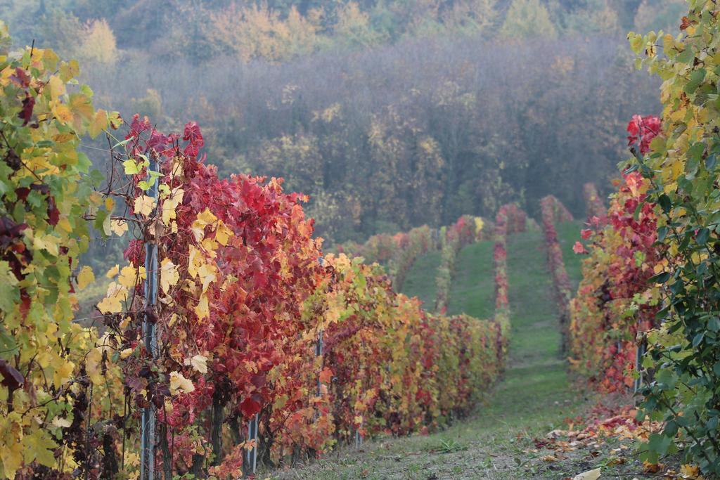 Ferienwohnung La Terrazza Sul Monferrato Ozzano Monferrato Exterior foto