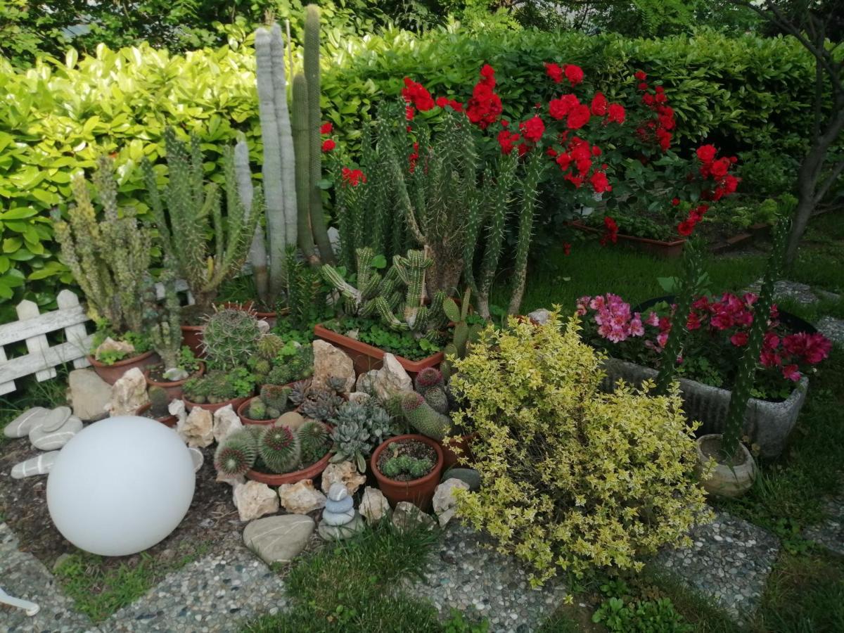 Ferienwohnung La Terrazza Sul Monferrato Ozzano Monferrato Exterior foto